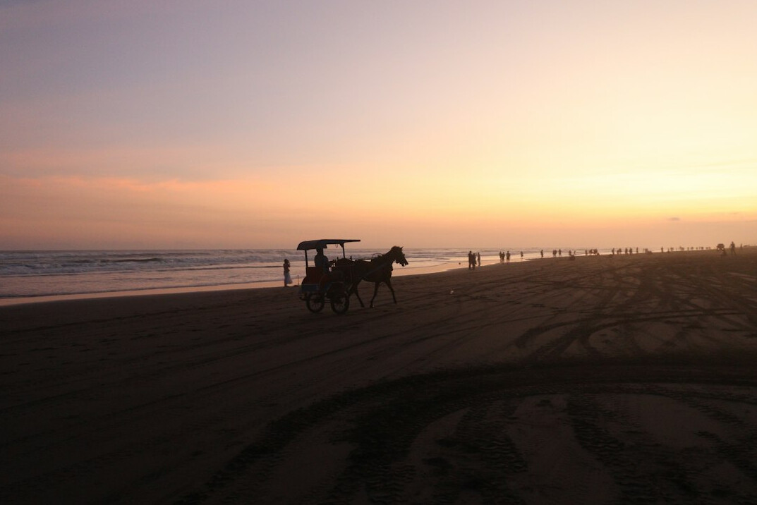 Wide sandy beach with horses walking at sunrise